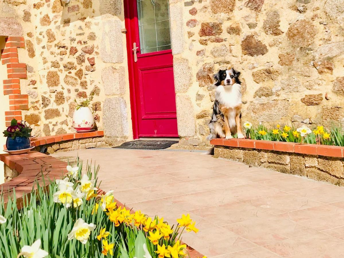 La Basse Monniere Bed & Breakfast Sevremont Exterior photo